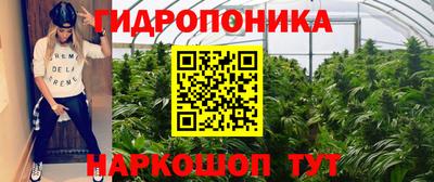 не бодяженный Лесосибирск